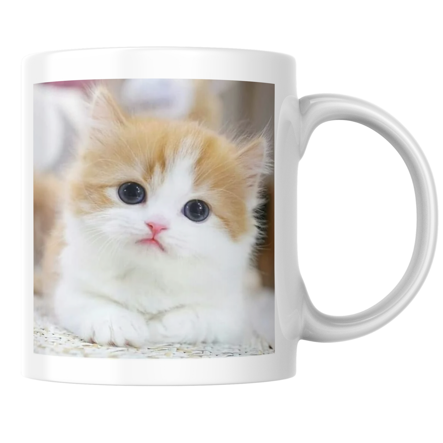 Talking To My Cat Today 15oz/ Photo Mug