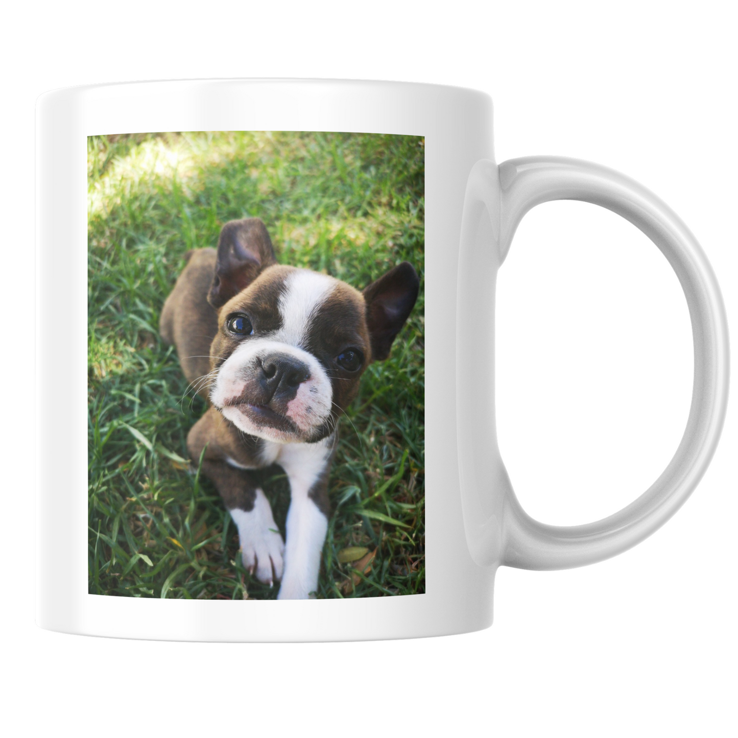 Talking To My Dog 15oz / Photo Mug