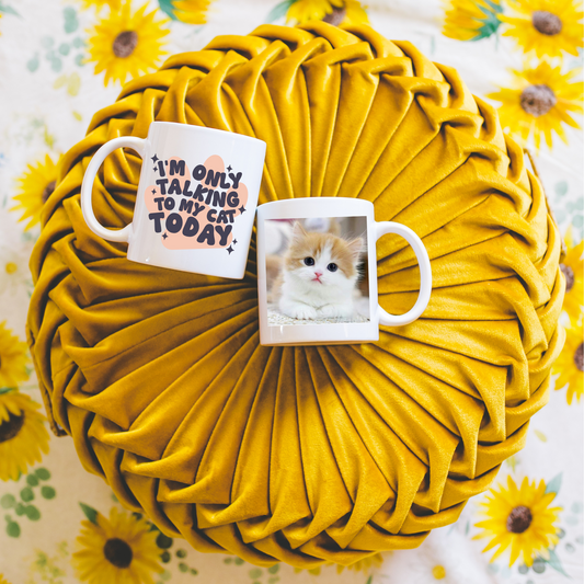 Talking To My Cat Today 15oz/ Photo Mug